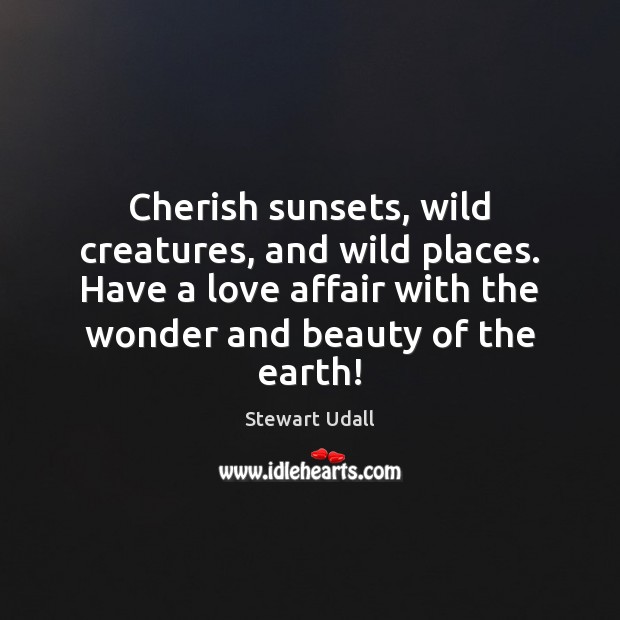 Cherish sunsets, wild creatures, and wild places. Have a love affair with Stewart Udall Picture Quote