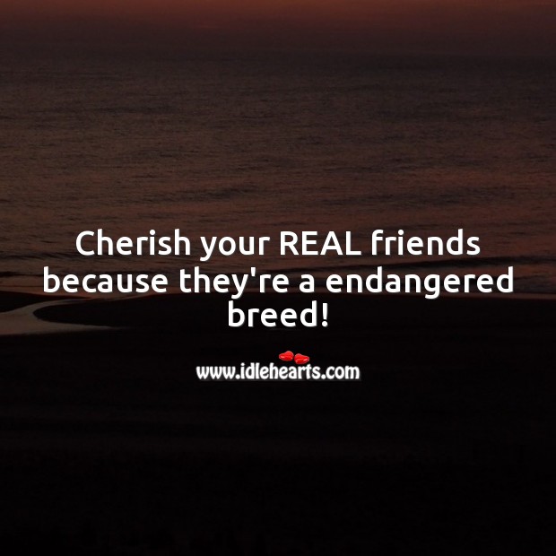 Cherish your REAL friends because they’re a endangered breed! Real Friends Quotes Image