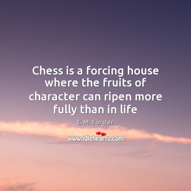 Chess is a forcing house where the fruits of character can ripen more fully than in life E. M. Forster Picture Quote