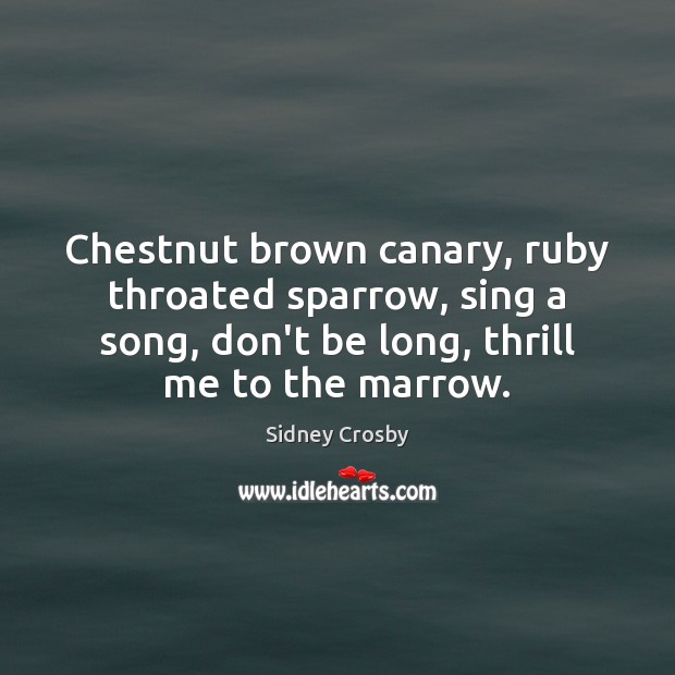 Chestnut brown canary, ruby throated sparrow, sing a song, don’t be long, Sidney Crosby Picture Quote