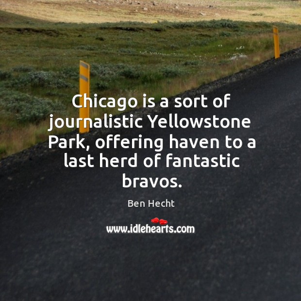 Chicago is a sort of journalistic yellowstone park, offering haven to a last herd of fantastic bravos. Image