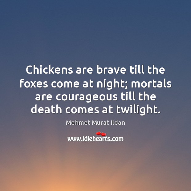 Chickens are brave till the foxes come at night; mortals are courageous Image