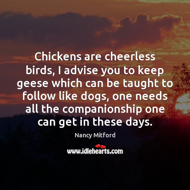 Chickens are cheerless birds, I advise you to keep geese which can Nancy Mitford Picture Quote