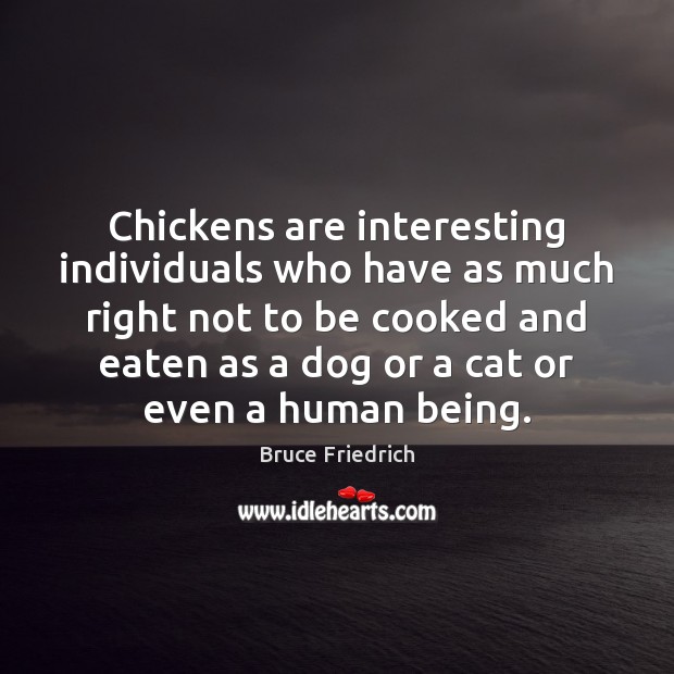 Chickens are interesting individuals who have as much right not to be Bruce Friedrich Picture Quote