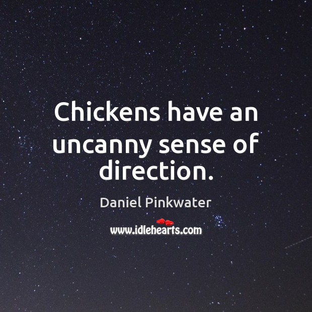 Chickens have an uncanny sense of direction. Daniel Pinkwater Picture Quote