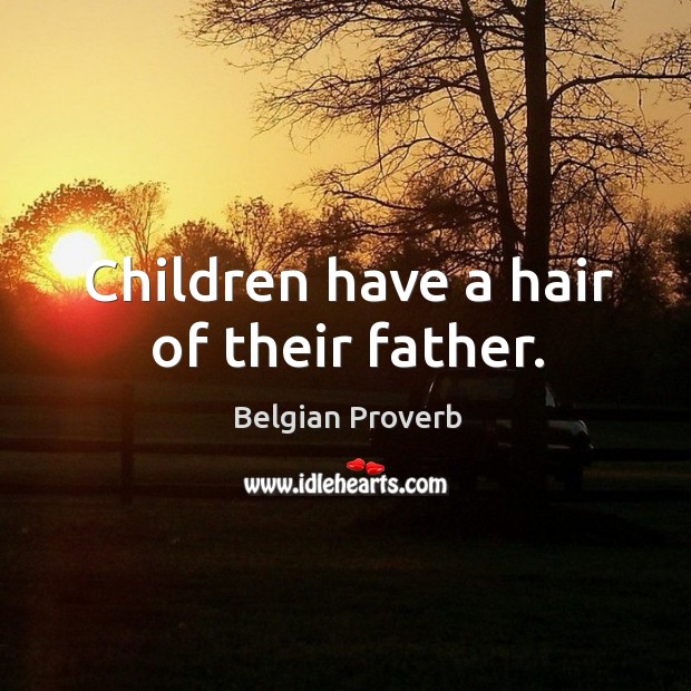 Children have a hair of their father. Belgian Proverbs Image