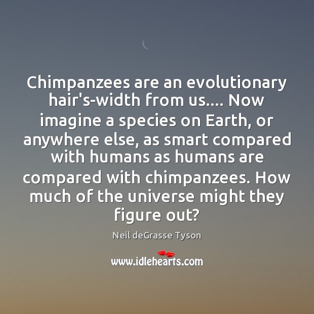 Chimpanzees are an evolutionary hair’s-width from us…. Now imagine a species on Neil deGrasse Tyson Picture Quote