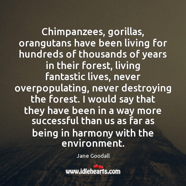 Chimpanzees, gorillas, orangutans have been living for hundreds of thousands of years Jane Goodall Picture Quote