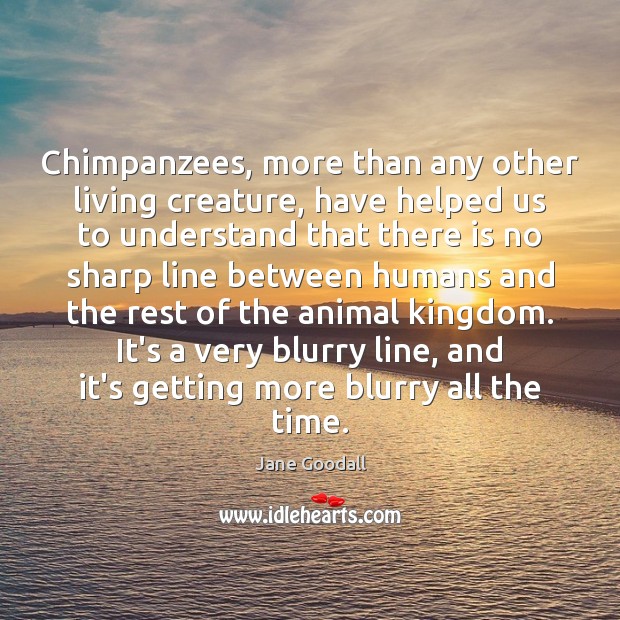 Chimpanzees, more than any other living creature, have helped us to understand Jane Goodall Picture Quote