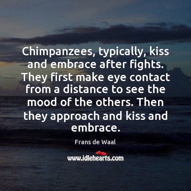 Chimpanzees, typically, kiss and embrace after fights. They first make eye contact Frans de Waal Picture Quote