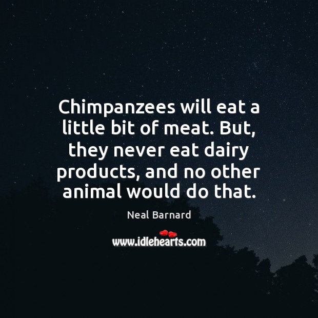 Chimpanzees will eat a little bit of meat. But, they never eat Neal Barnard Picture Quote