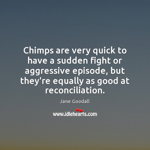 Chimps are very quick to have a sudden fight or aggressive episode, Jane Goodall Picture Quote