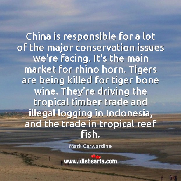 China is responsible for a lot of the major conservation issues we’re Mark Carwardine Picture Quote