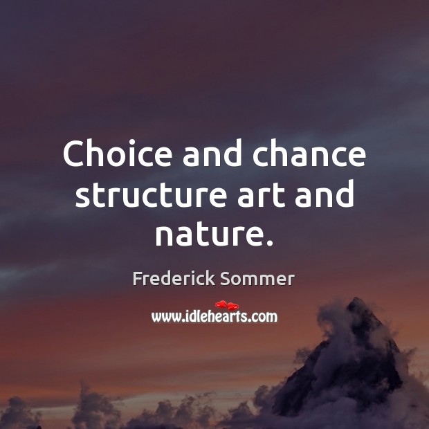 Choice and chance structure art and nature. Frederick Sommer Picture Quote