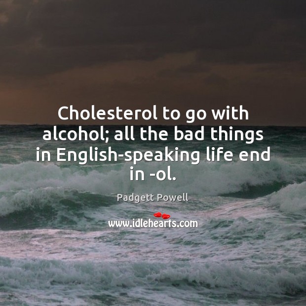 Cholesterol to go with alcohol; all the bad things in English-speaking life end in -ol. Padgett Powell Picture Quote