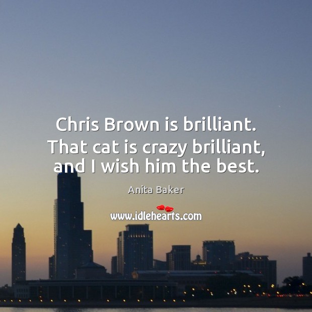 Chris Brown is brilliant. That cat is crazy brilliant, and I wish him the best. Anita Baker Picture Quote
