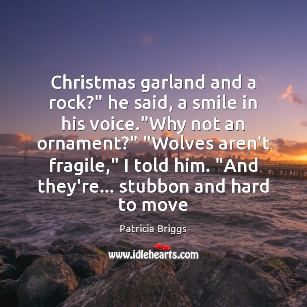 Christmas garland and a rock?” he said, a smile in his voice.” Image