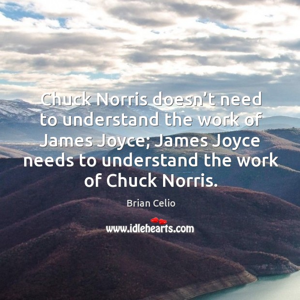 Chuck norris doesn’t need to understand the work of james joyce; james joyce needs Brian Celio Picture Quote