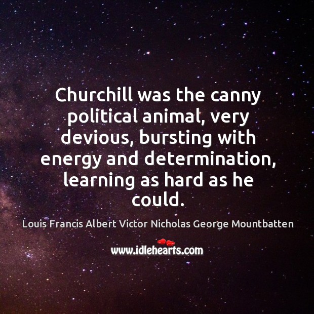 Churchill was the canny political animal, very devious, bursting with energy and determination Louis Francis Albert Victor Nicholas George Mountbatten Picture Quote