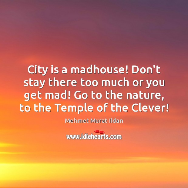City is a madhouse! Don’t stay there too much or you get Clever Quotes Image