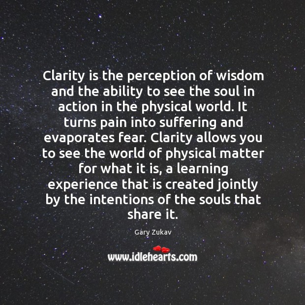 Clarity is the perception of wisdom and the ability to see the Gary Zukav Picture Quote