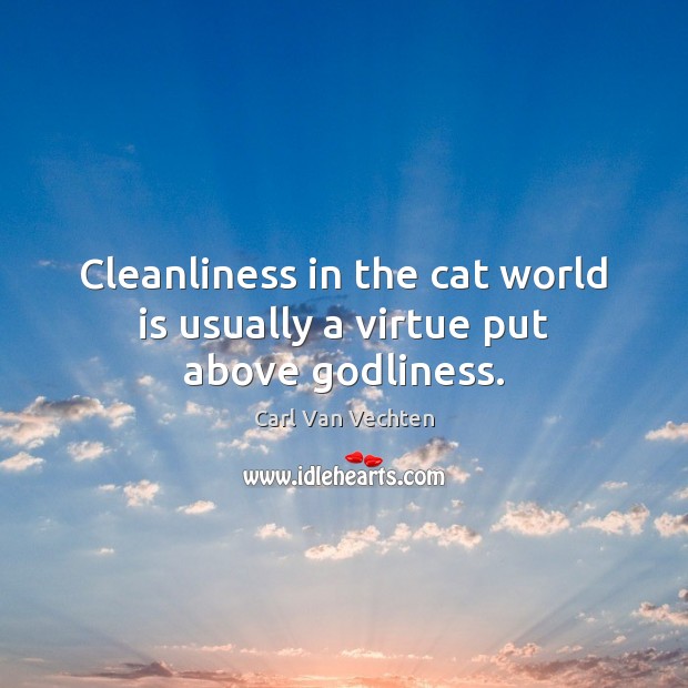 Cleanliness in the cat world is usually a virtue put above Godliness. Carl Van Vechten Picture Quote