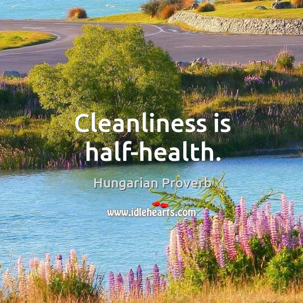 Cleanliness is half-health. Hungarian Proverbs Image
