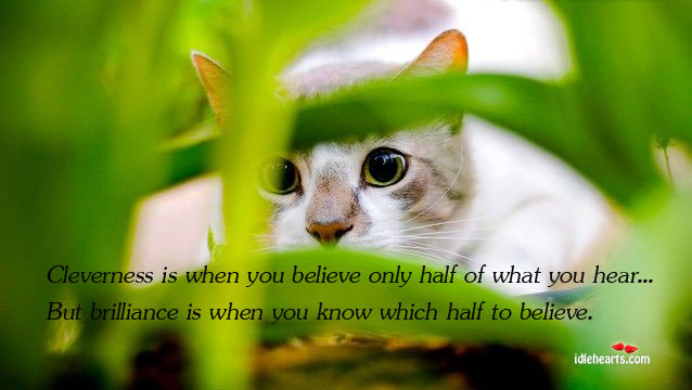 Cleverness is when you believe only half of what you hear. Image