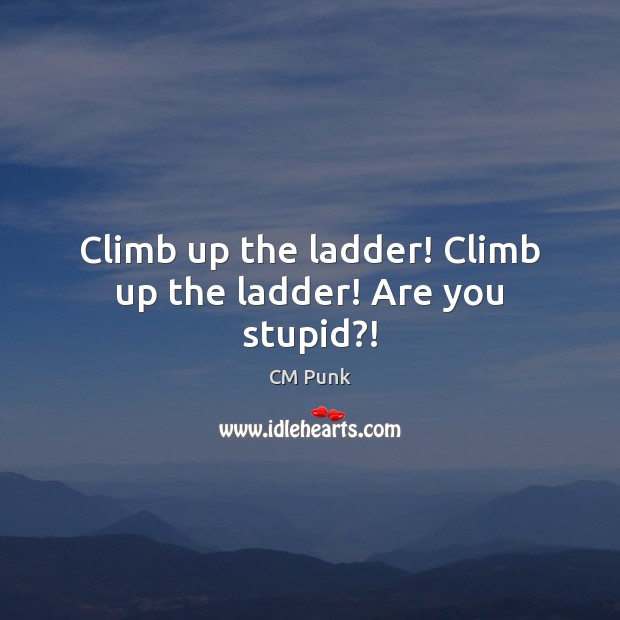 Climb up the ladder! Climb up the ladder! Are you stupid?! CM Punk Picture Quote