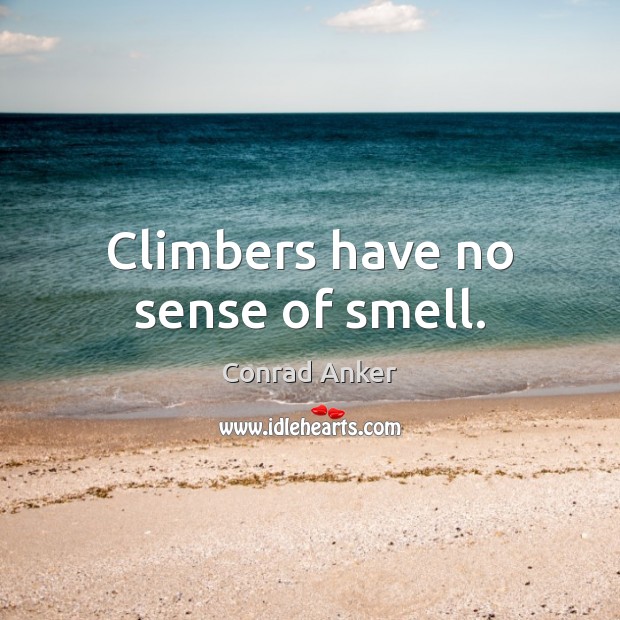 Climbers have no sense of smell. Conrad Anker Picture Quote