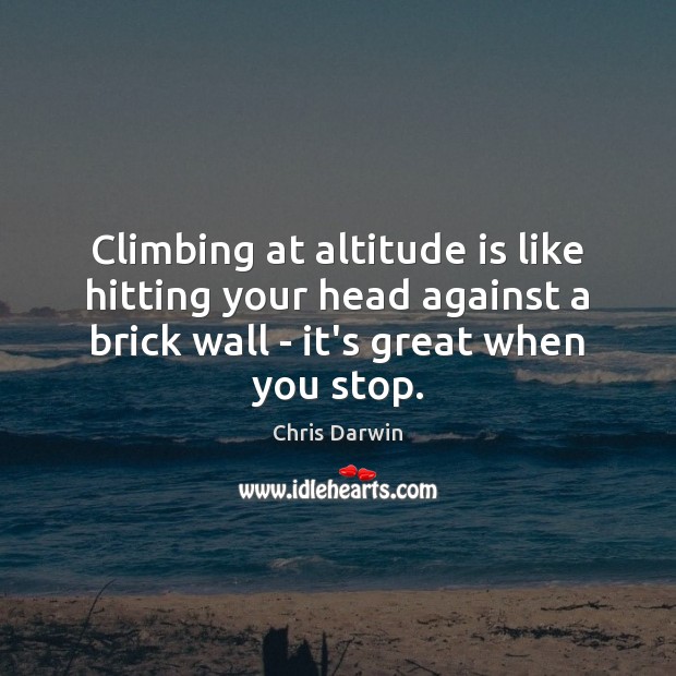 Climbing at altitude is like hitting your head against a brick wall Chris Darwin Picture Quote