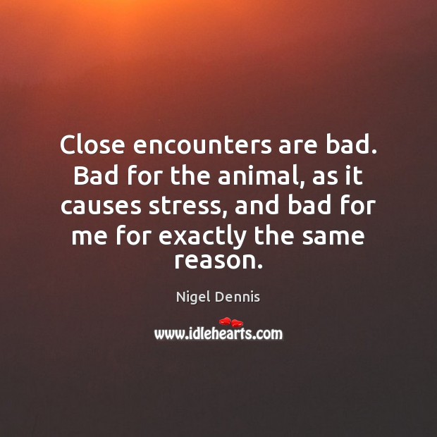 Close encounters are bad. Bad for the animal, as it causes stress, Nigel Dennis Picture Quote
