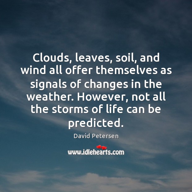 Clouds, leaves, soil, and wind all offer themselves as signals of changes Image