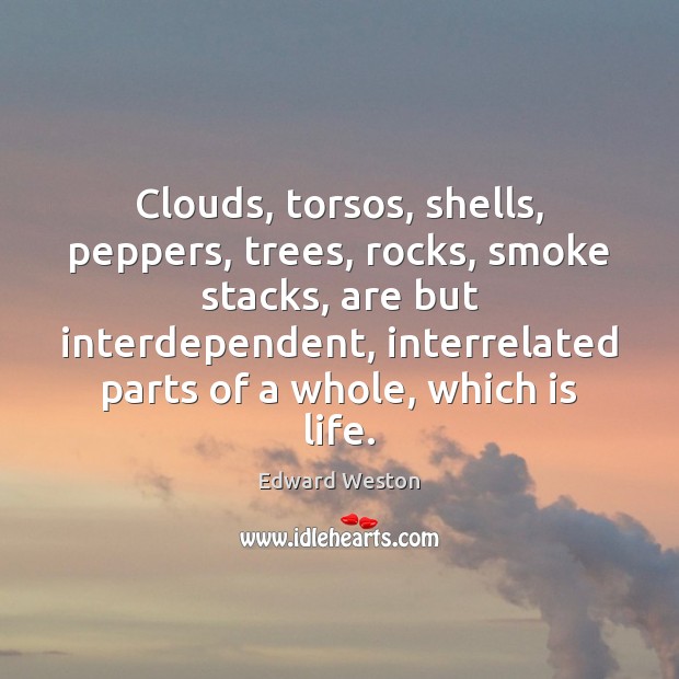 Clouds, torsos, shells, peppers, trees, rocks, smoke stacks, are but interdependent, interrelated Image