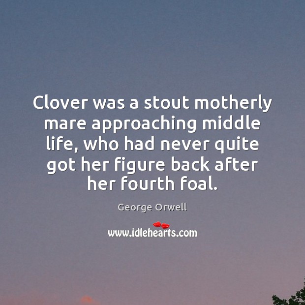 Clover was a stout motherly mare approaching middle life, who had never George Orwell Picture Quote