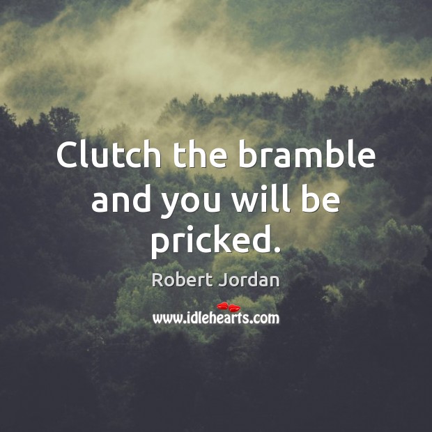 Clutch the bramble and you will be pricked. Robert Jordan Picture Quote