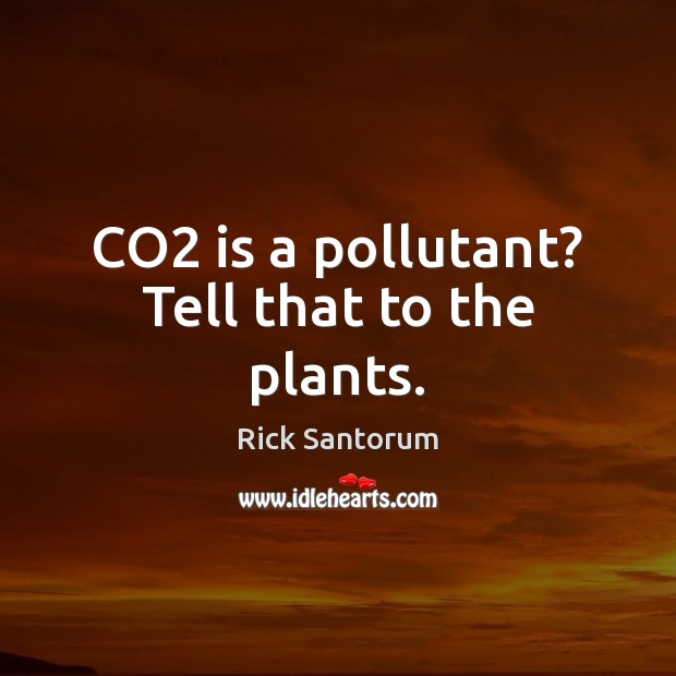 CO2 is a pollutant? Tell that to the plants. Image