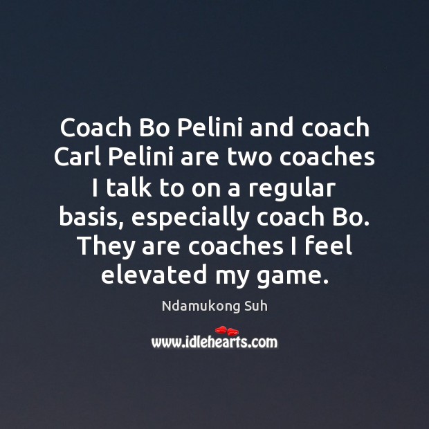 Coach Bo Pelini and coach Carl Pelini are two coaches I talk Ndamukong Suh Picture Quote
