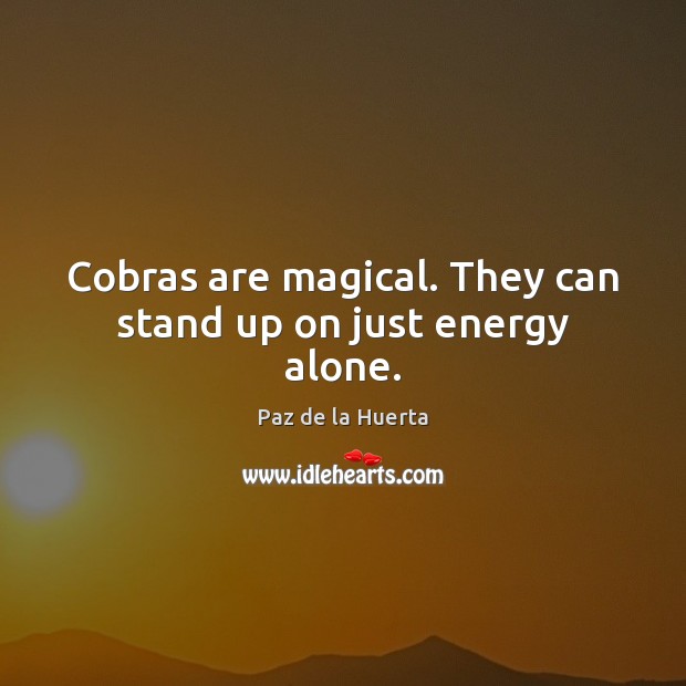 Cobras are magical. They can stand up on just energy alone. Paz de la Huerta Picture Quote