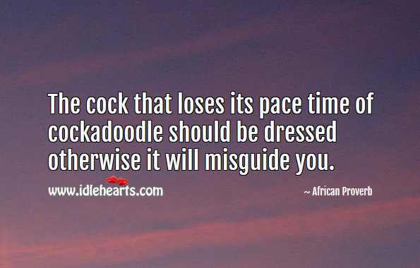 The cock that loses its pace time of cockadoodle should be dressed otherwise it will misguide you. African Proverbs Image