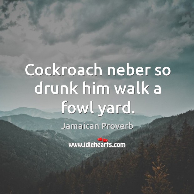 Cockroach neber so drunk him walk a fowl yard. Jamaican Proverbs Image