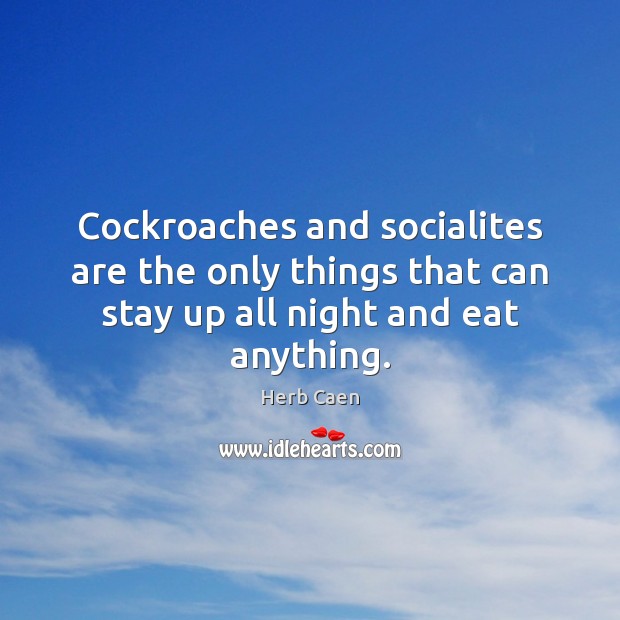 Cockroaches and socialites are the only things that can stay up all Image