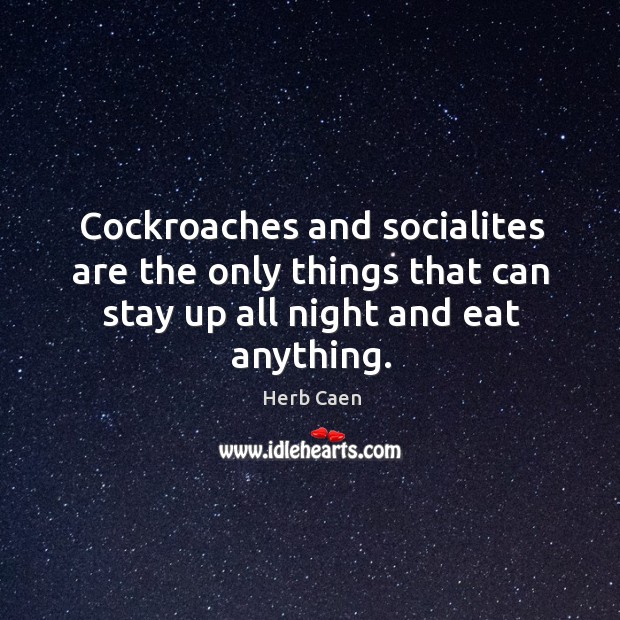 Cockroaches and socialites are the only things that can stay up all night and eat anything. Herb Caen Picture Quote