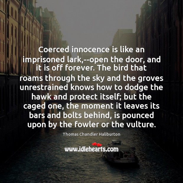 Coerced innocence is like an imprisoned lark,–open the door, and it Thomas Chandler Haliburton Picture Quote