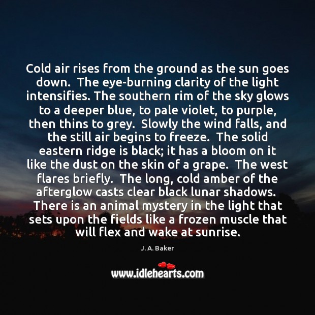 Cold air rises from the ground as the sun goes down.  The J. A. Baker Picture Quote