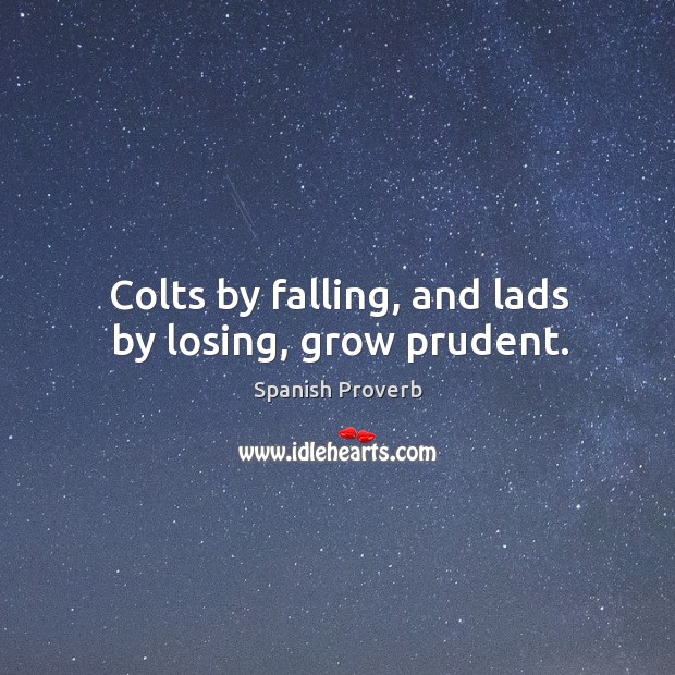 Colts by falling, and lads by losing, grow prudent. Image