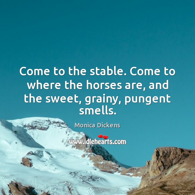 Come to the stable. Come to where the horses are, and the sweet, grainy, pungent smells. Image