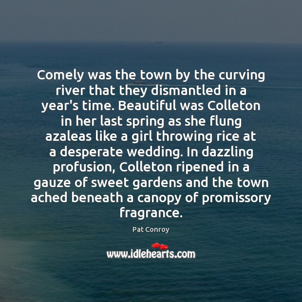 Comely was the town by the curving river that they dismantled in Pat Conroy Picture Quote
