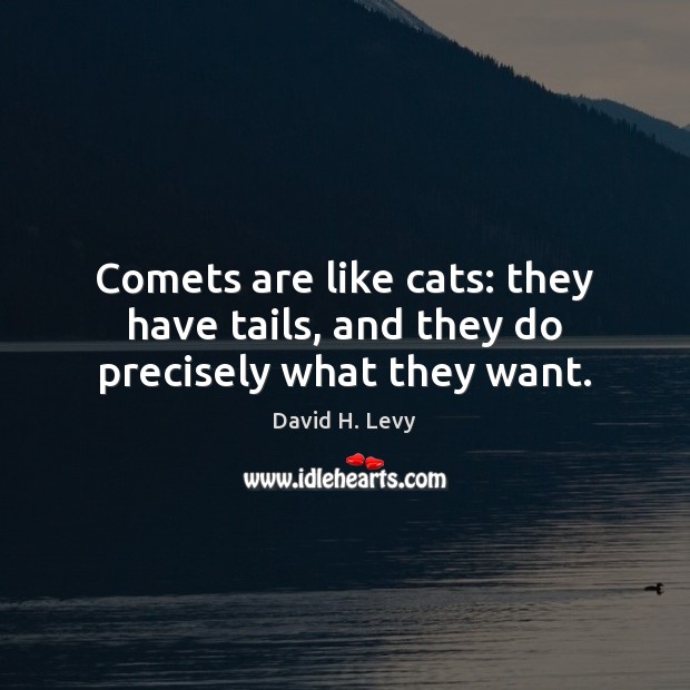 Comets are like cats: they have tails, and they do precisely what they want. David H. Levy Picture Quote