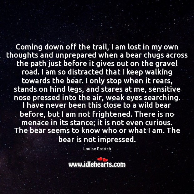 Coming down off the trail, I am lost in my own thoughts 